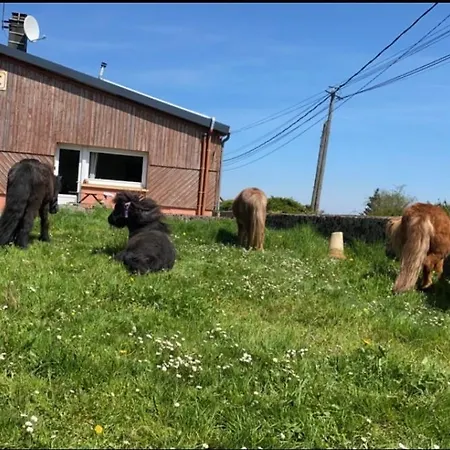 Σπίτι διακοπών Familiale Au Coeur D Un Centre Equestre *